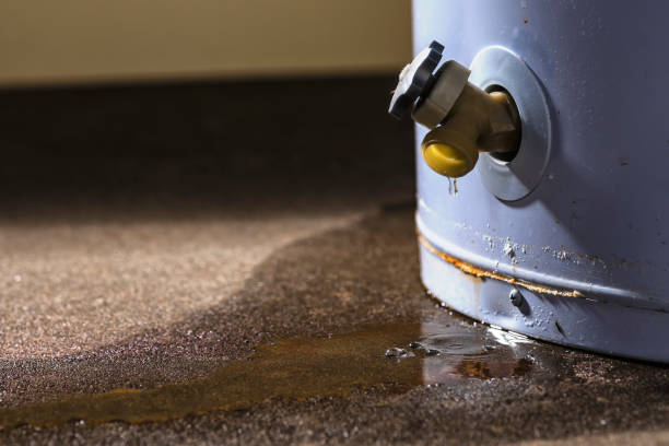 Best Local water damage restoration  in Morrison, IL