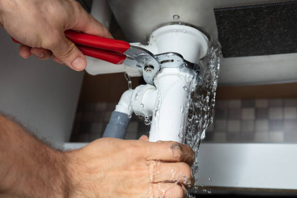Best Flood restoration services  in Morrison, IL