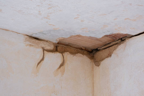 Best Water damage restoration services  in Morrison, IL
