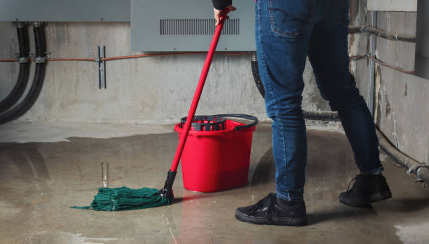 Best Water damage restoration near me  in Morrison, IL