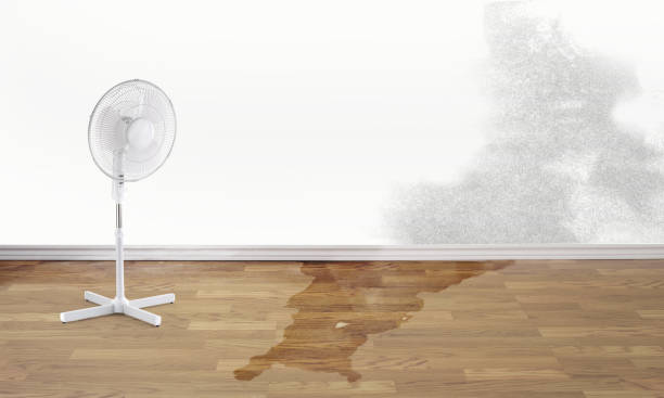 Best Water damage restoration near me  in Morrison, IL
