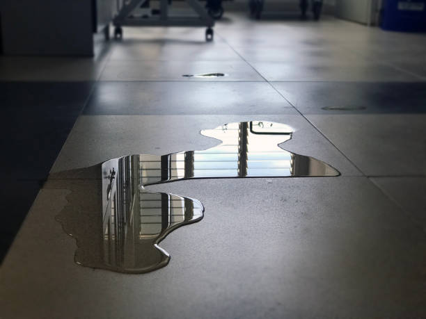 Professional Water damage restoration in IL