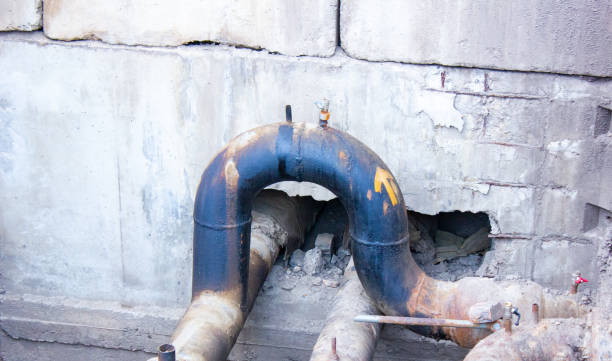 Best Water damage contractors near me  in Morrison, IL