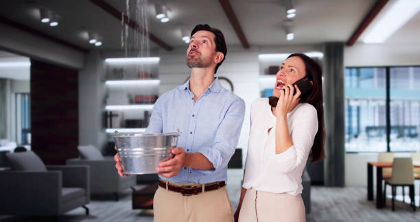 Best Water damage cleanup near me  in Morrison, IL