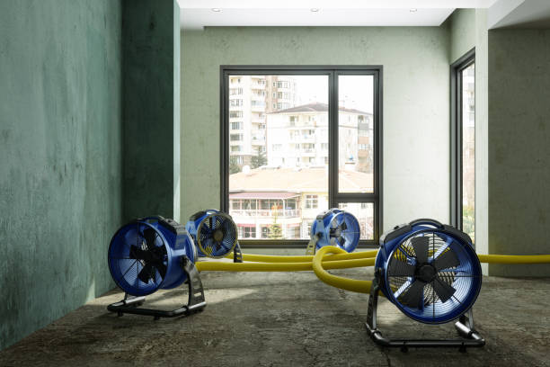 Local water damage restoration in IL