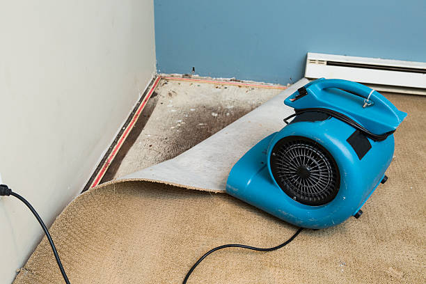 Best Residential water damage restoration  in Morrison, IL